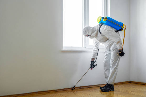 Best Indoor Pest Control  in Monroe, OH